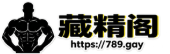 藏精阁